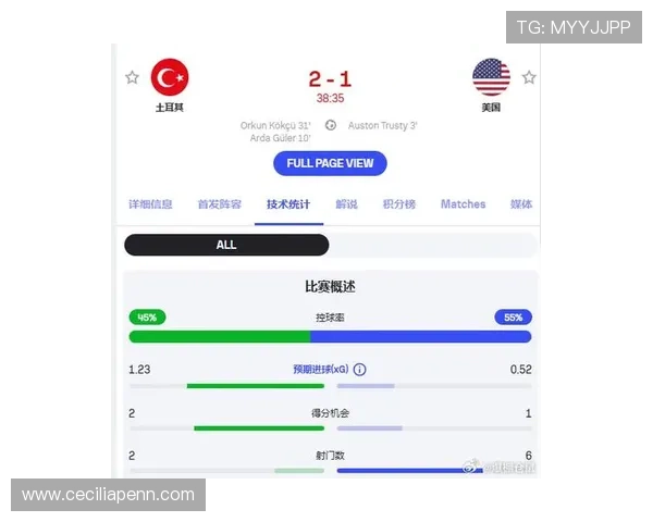 世界杯土耳其美国比赛结果及赛况总结，分析两队表现与未来晋级前景预测